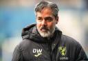Norwich City boss David Wagner has been spinning plates all season.
