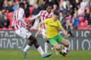 Norwich City winger Christos Tzolis is grabbing the headlines on loan in Germany