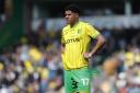 Gabriel Sara made a real positive impact in his debut campaign at Norwich City.