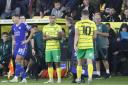 Norwich City striker Ashley Barnes is out for two months with medial knee ligament damage