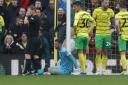 Scotland international Angus Gunn is on course to return for Norwich City