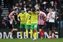Norwich City crumbled to a 3-1 Championship away defeat against this weekend's opponents Sunderland