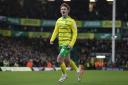 Josh Sargent has been prolific on his Norwich City return from injury.