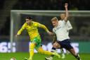 Borja Sainz (left) scored again as Norwich City drew 2-2 with Preston North End