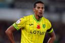 Norwich City loanee Isaac Hayden is set to leave Newcastle United this summer.