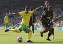 Onel Hernandez has made a positive impact from the bench for Norwich City.