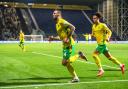 Shane Duffy celebrates his goal at Preston