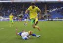 Emiliano Marcondes has backed Norwich City to emerge through their injury crisis.