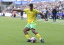 Onel Hernandez is nearing a return to Championship action for Norwich City.