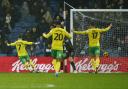 Norwich City ended their losing run with a point against West Brom