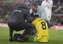 Liam Gibbs went down with injury shortly after coming on as a substitute for Norwich City