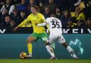 Norwich City fan Brad Hills made his Canaries' league debut against Plymouth