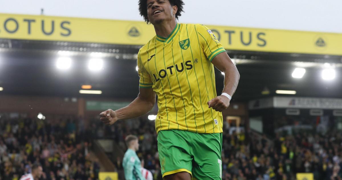 Norwich City: Gabby Sara's Championship report card | The Pink Un