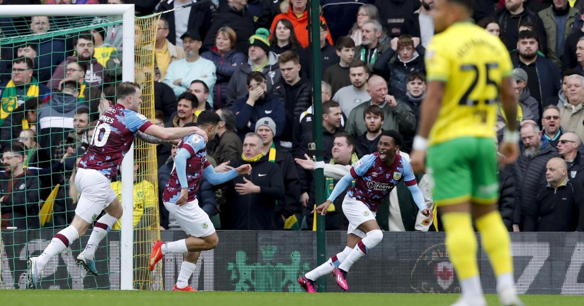 Norwich City 2-0 Cardiff City: Gabriel Sara and Marquinhos score in  Canaries win, Football News