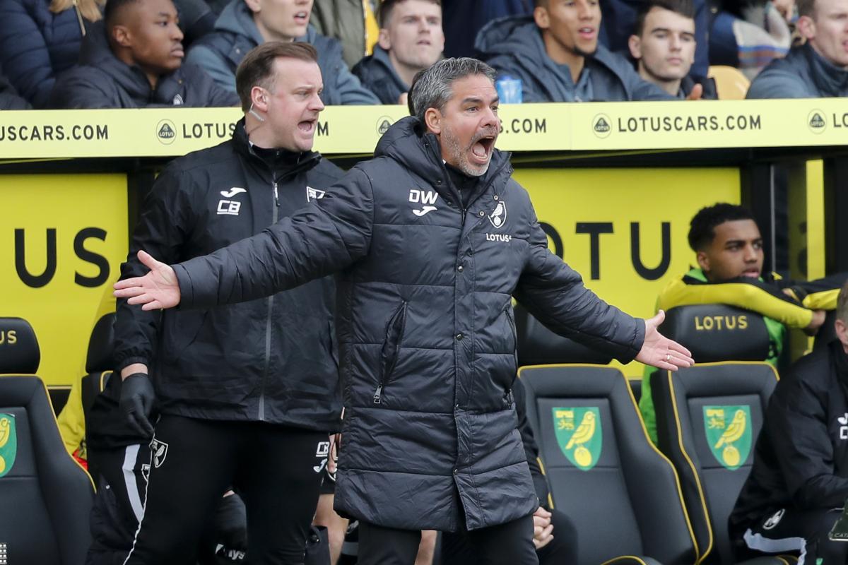 Norwich City v Hull City: David Wagner Championship preview | The Pink Un