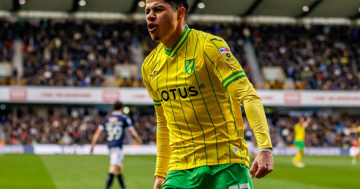 Norwich City transfer news: West Ham and Atletico chasing Gabriel Sara | The Pink Un