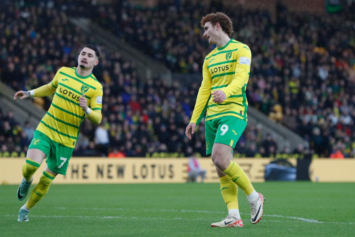 Norwich City learning it's about much more than results for fans
