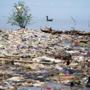 Plastic waste litters the shoreline in Indonesia (Owen Humphreys/PA)