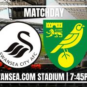 Norwich City travel to South Wales to face Swansea in the Championship.