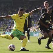 Onel Hernandez has made a positive impact from the bench for Norwich City.