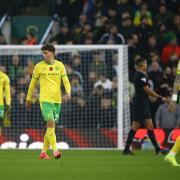 Norwich City have had an inconsistent start to the Championship campaign.