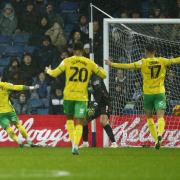 Norwich City ended their losing run with a point against West Brom