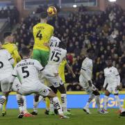 Shane Duffy got Norwich City off the mark from set-pieces against Plymouth Argyle