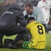 Liam Gibbs went down with injury shortly after coming on as a substitute for Norwich City