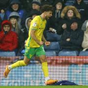 Emiliano Marcondes has quickly found form at Norwich City