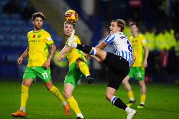 OWLS 2 CANARIES 0 - Key moments, ratings & stats